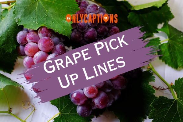 Grape Pick Up Lines (2024)