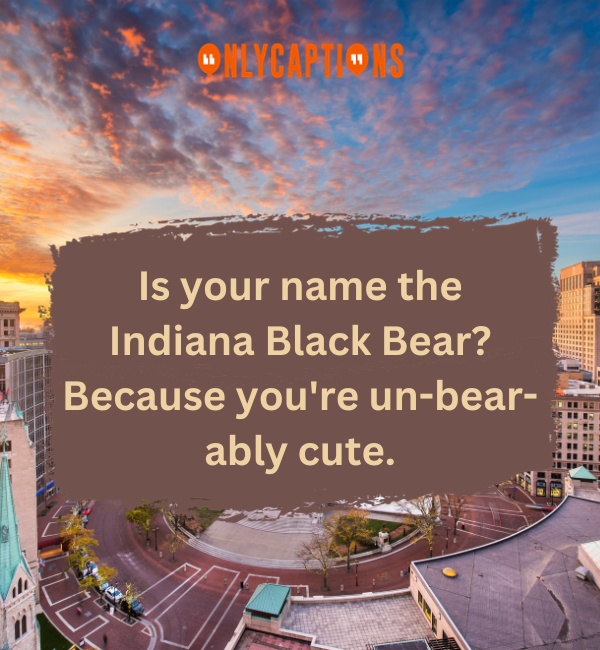 Indiana Pick Up Lines 3-OnlyCaptions