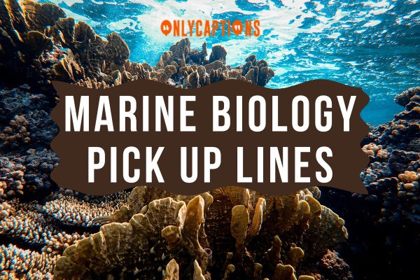 Marine Biology Pick Up Lines-OnlyCaptions
