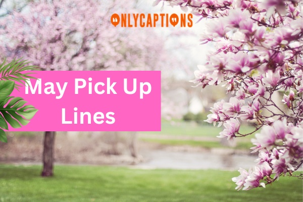May Pick Up Lines-OnlyCaptions