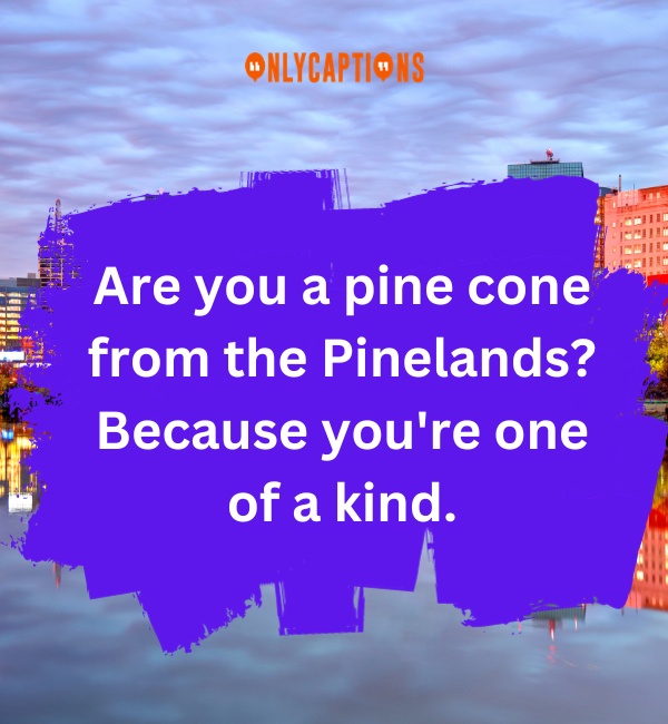 New Jersey Pick Up Lines 1-OnlyCaptions