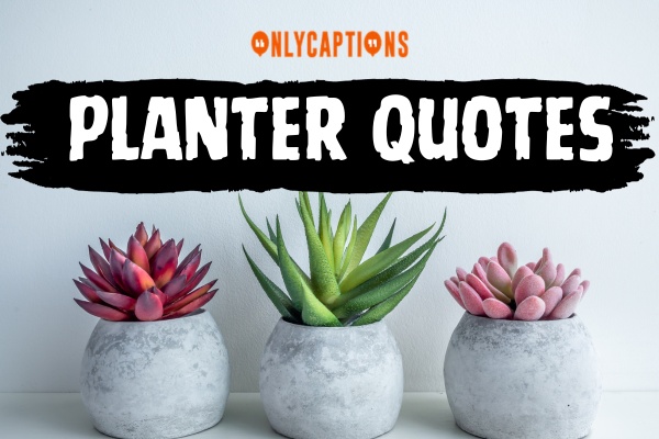 Planter Quotes (2023)