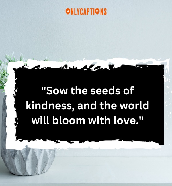 Planter Quotes 3-OnlyCaptions