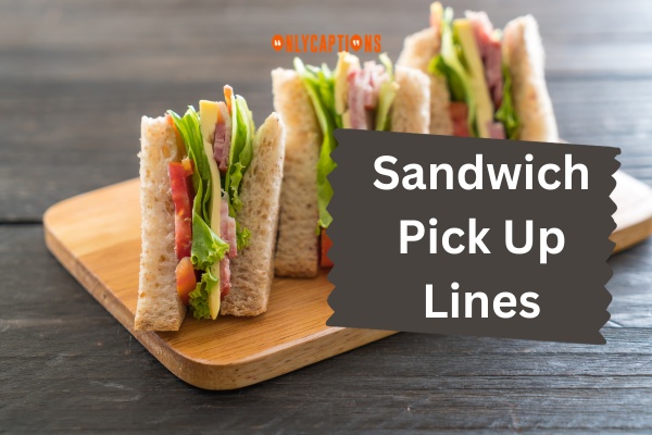 Sandwich Pick Up Lines (2024)