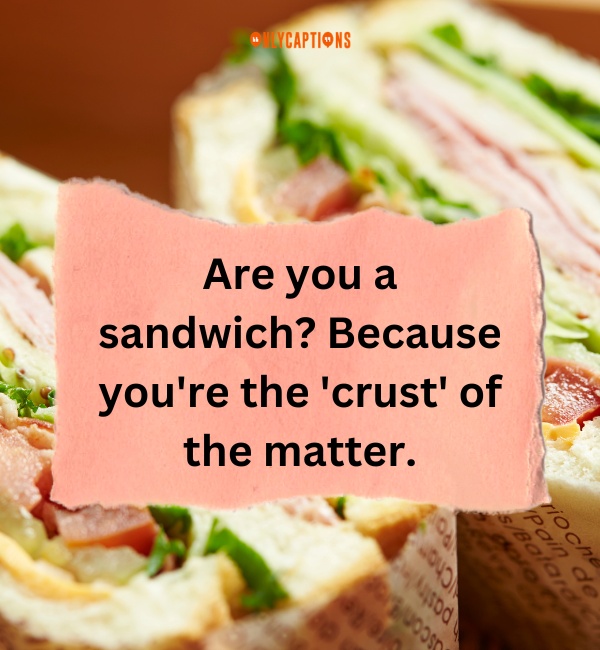 Sandwich Pick Up Lines 2-OnlyCaptions