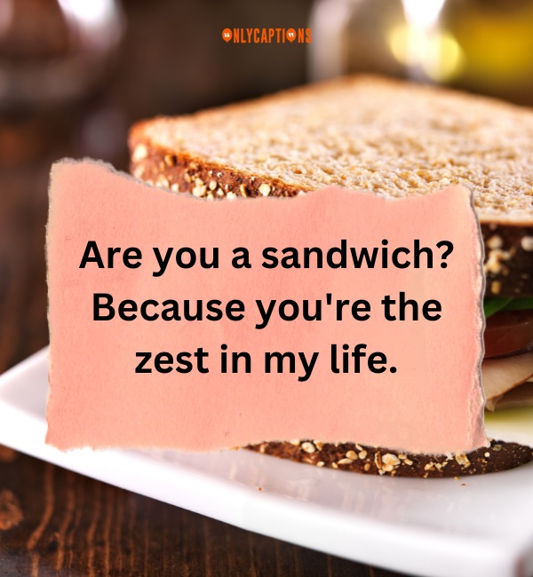 Sandwich Pick Up Lines 3-OnlyCaptions