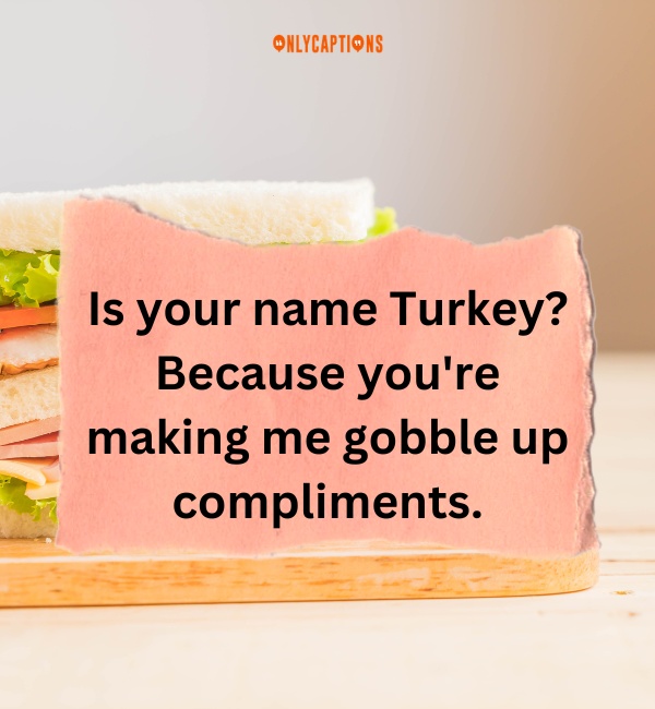 Sandwich Pick Up Lines 6-OnlyCaptions