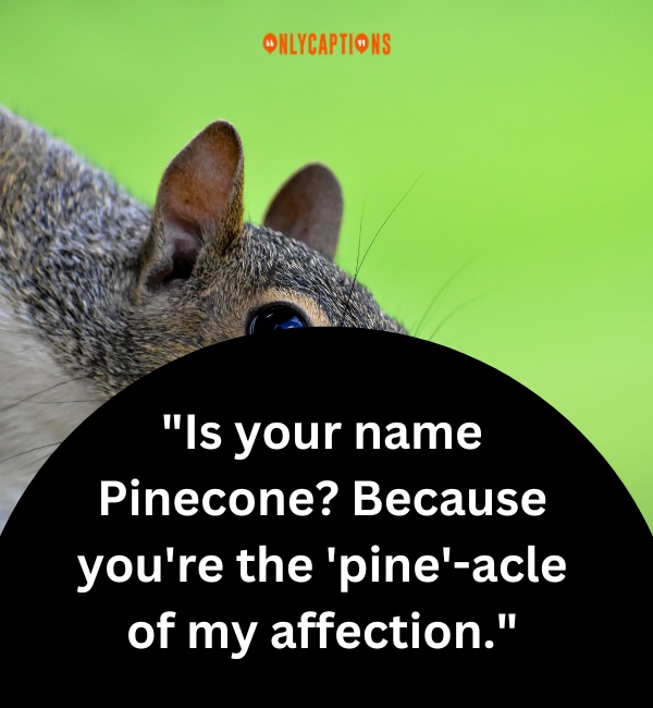 Squirrel Pick Up Lines 2-OnlyCaptions