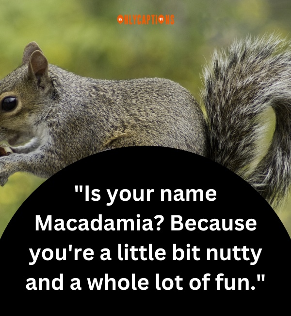 Squirrel Pick Up Lines 3-OnlyCaptions