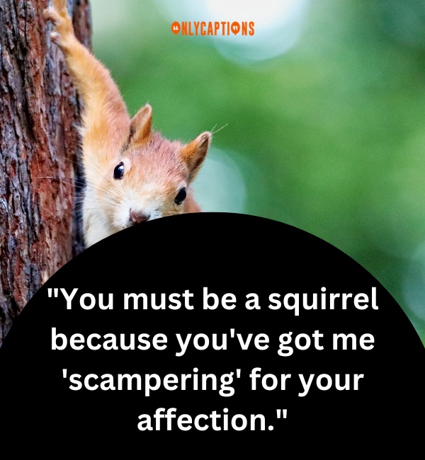 Squirrel Pick Up Lines-OnlyCaptions