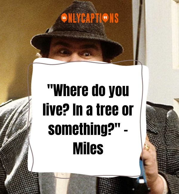 Uncle Buck Quotes 3-OnlyCaptions