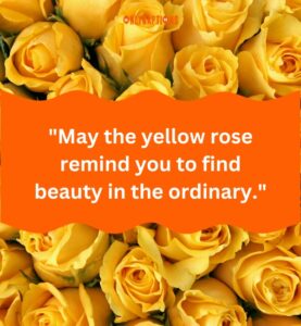 210+ Yellow Rose Quotes (2025) Sunlit Sentiments