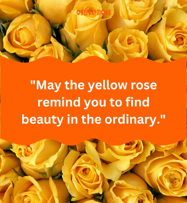 Yellow Rose Quotes 1-OnlyCaptions