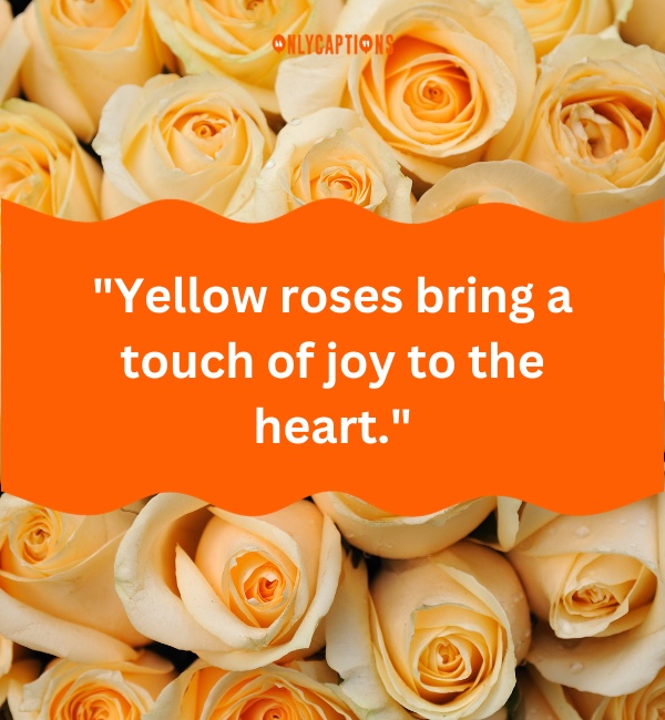 Yellow Rose Quotes 2-OnlyCaptions