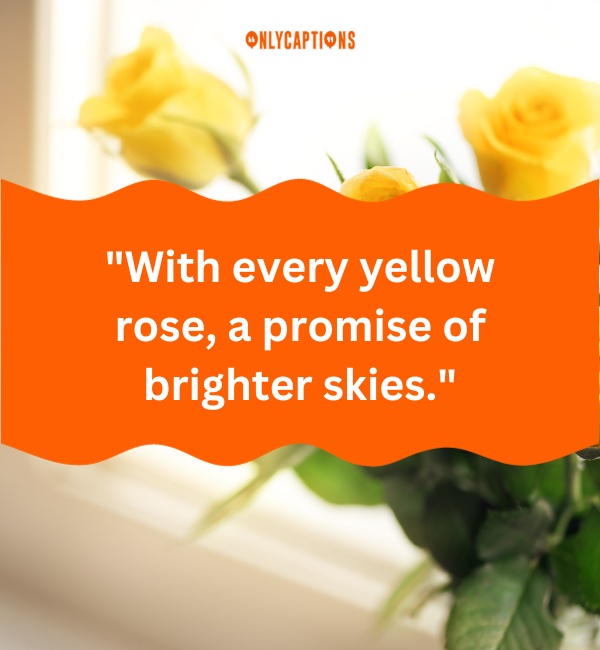 Yellow Rose Quotes 3-OnlyCaptions