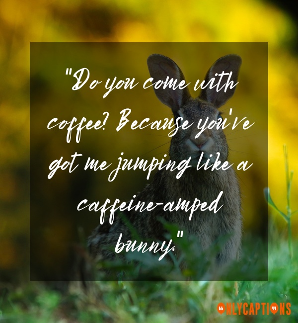 Funny Bunny Pick Up Lines (2024)