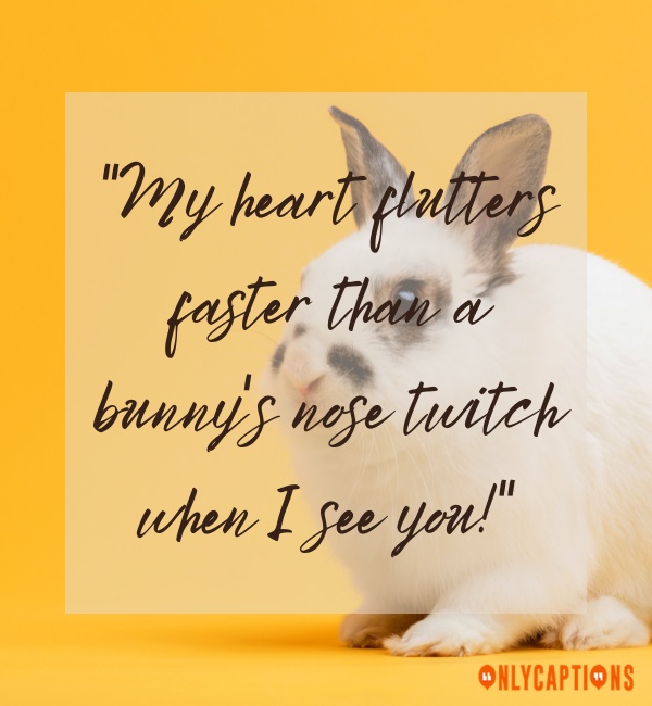 Cute Bunny Pick Up Line (2024)
