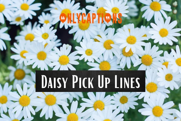 Daisy Pick Up Lines 1-OnlyCaptions