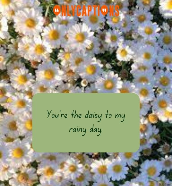 Daisy Pick Up Lines 3-OnlyCaptions