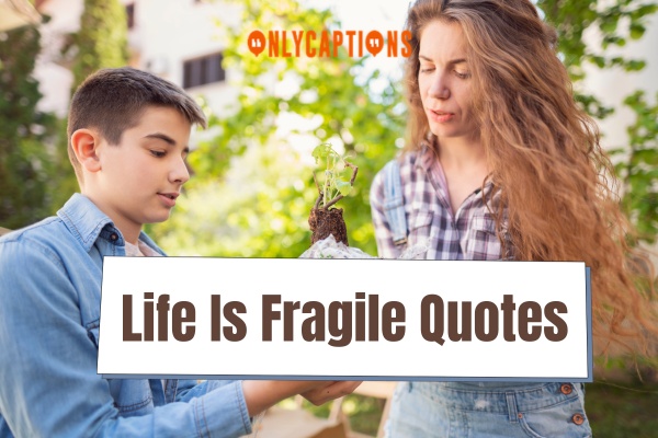 Life Is Fragile Quotes (2024)