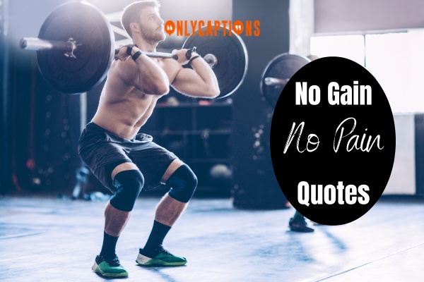 No Gain No Pain Quotes (2024)