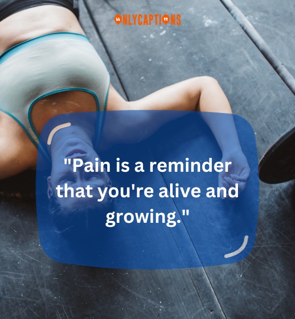 No Gain No Pain Quotes-OnlyCaptions