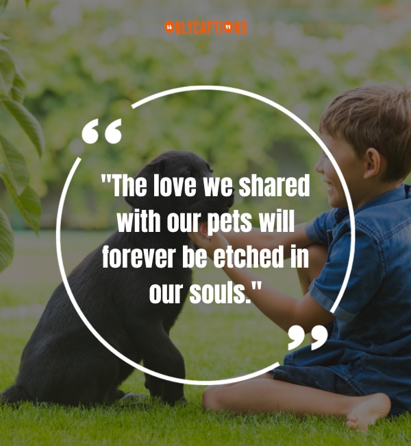 Pet Loss Quotes-OnlyCaptions