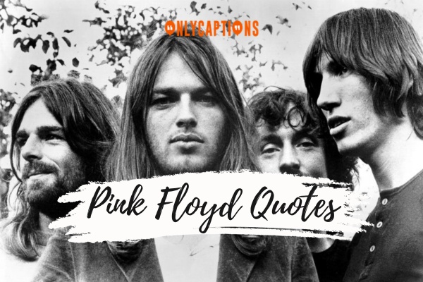 Pink Floyd Quotes (2024)