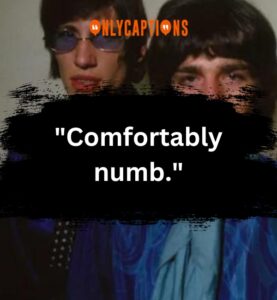 830+ Pink Floyd Quotes (2025) Unearth Hidden Gems