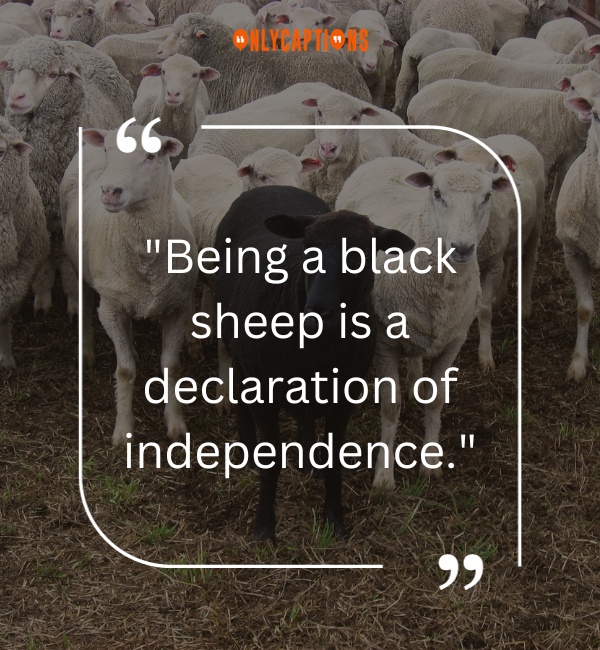 Quotes About Black sheep 2-OnlyCaptions