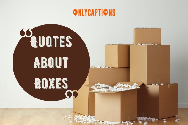 Quotes About Boxes (2025)