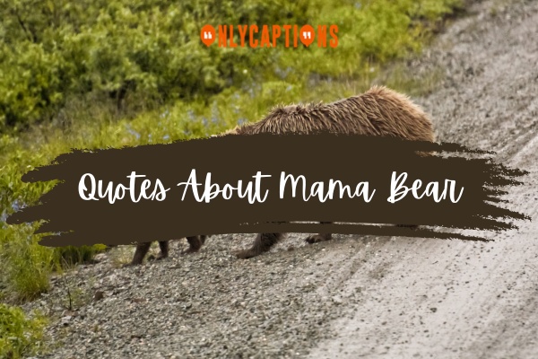Quotes About Mama Bear (2024)