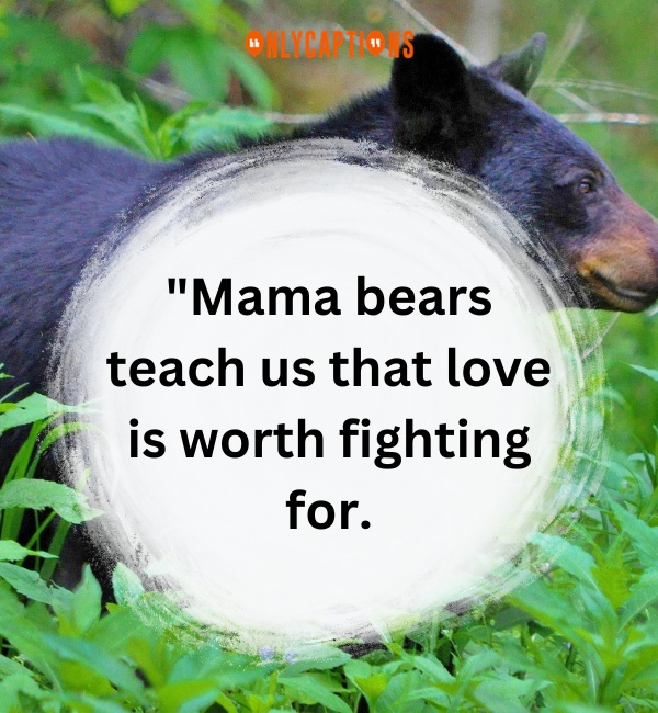 Quotes About Mama Bear 3-OnlyCaptions