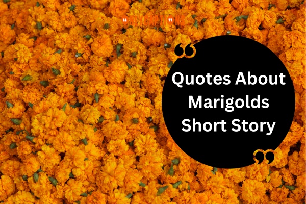 Quotes About Marigolds Short Story (2024)