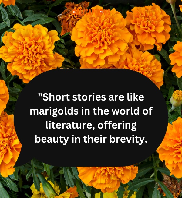 Quotes About Marigolds Short Story 3-OnlyCaptions