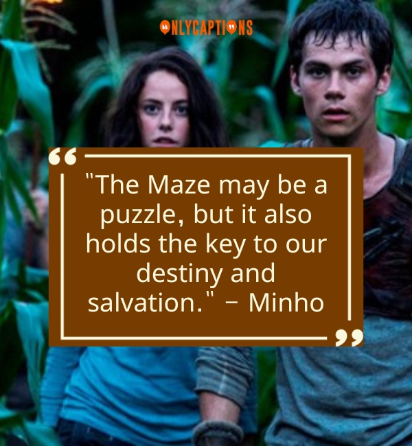 Quotes About Maze Runner 3-OnlyCaptions