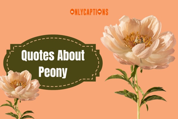 Quotes About Peony (2024)