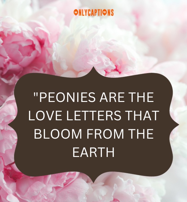 Quotes About Peony 3-OnlyCaptions