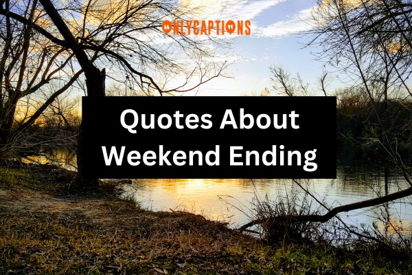 Quotes About Weekend Ending (2024)