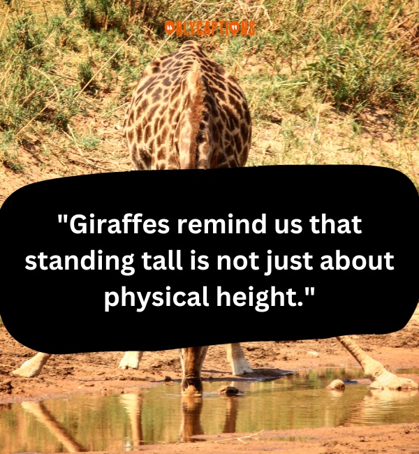 Quotes On Giraffe 3-OnlyCaptions