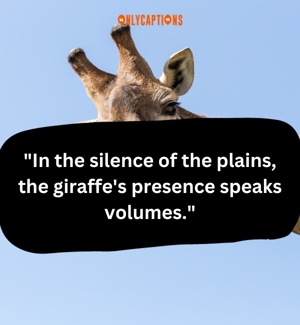 Quotes On Giraffe-OnlyCaptions