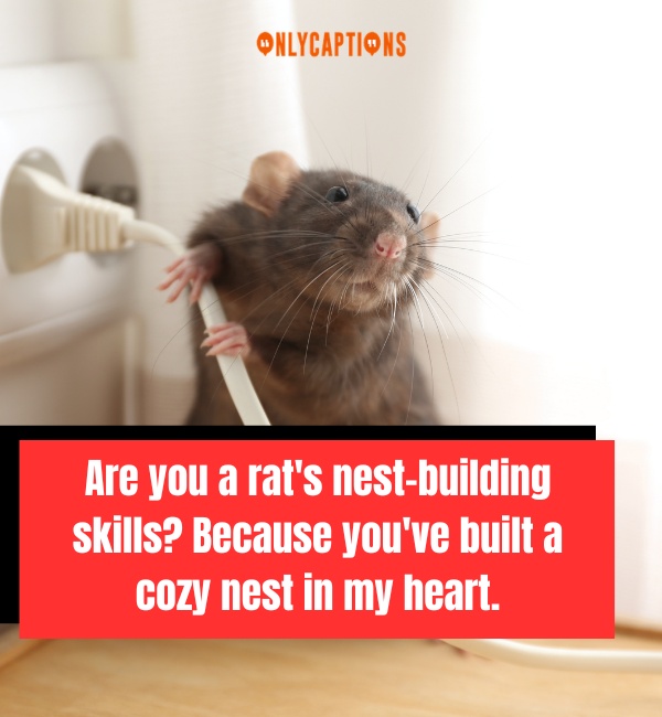 Rat Pick Up Lines 3-OnlyCaptions