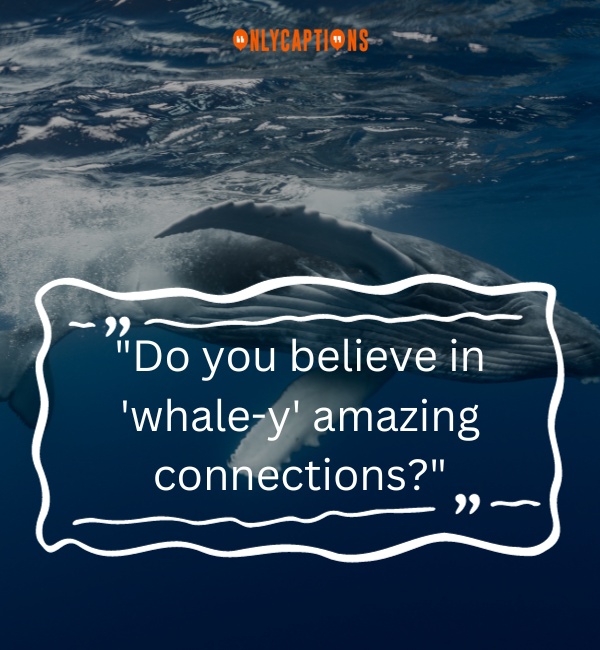 Whale Pick Up Lines 2-OnlyCaptions