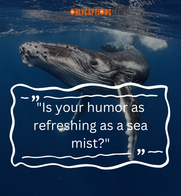 Whale Pick Up Lines 3-OnlyCaptions