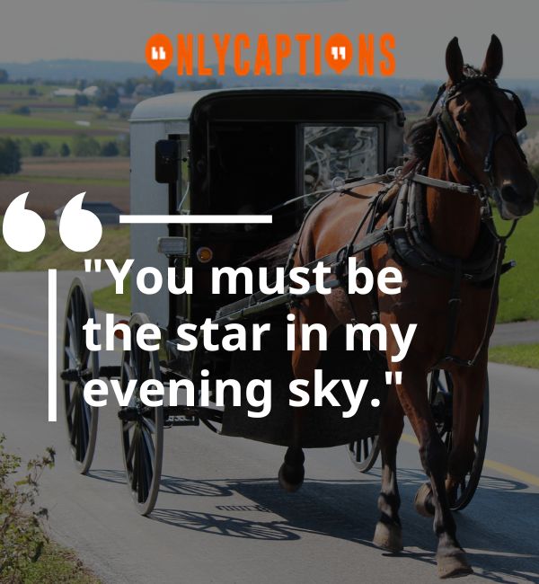 Amish Pick Up Lines 3-OnlyCaptions