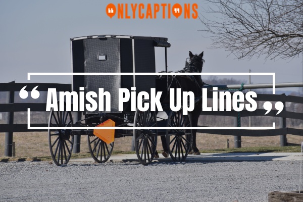 Amish Pick Up Lines-OnlyCaptions