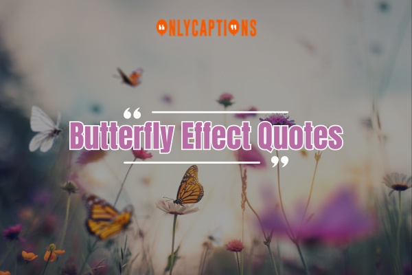 Butterfly Effect Quotes 1-OnlyCaptions