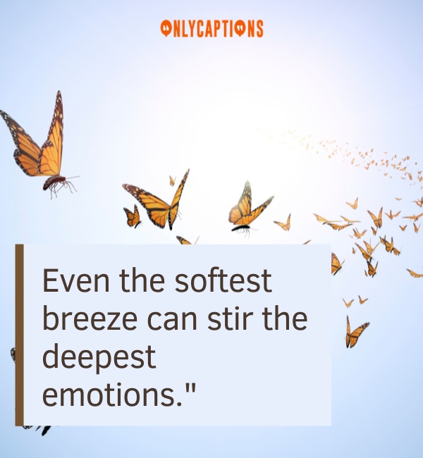 Butterfly Effect Quotes 2-OnlyCaptions