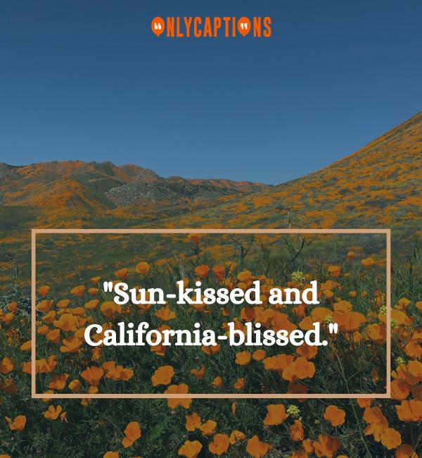 California Instagram Captions 7 2-OnlyCaptions