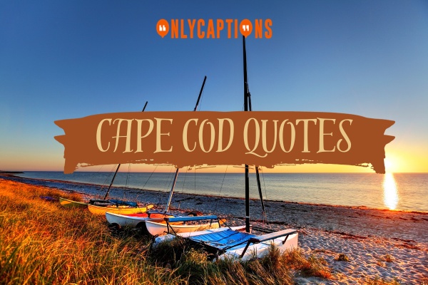 Cape Cod Quotes 1-OnlyCaptions